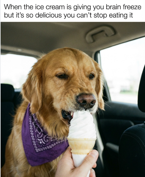 When the ice cream is giving you brain freeze but it's so delicious you can't stop eating it 90000000000000 16 89000900008