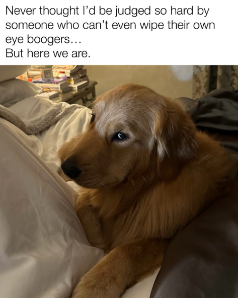 Never thought I'd be judged so hard by someone who can't even wipe their own eye boogers... But here we are.