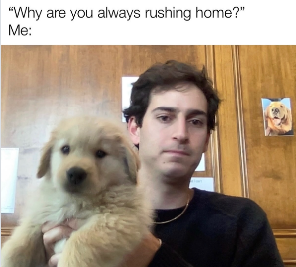 "Why are you always rushing home?" Me: