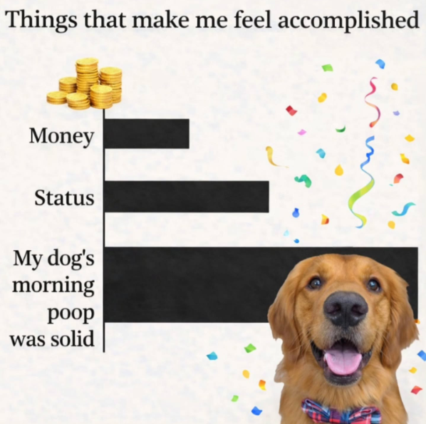 Things that make me feel accomplished Money Status My dog's morning poop was solid