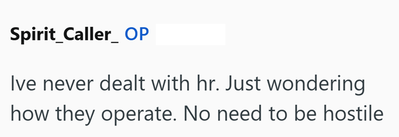 Spirit_Caller_ OP Ive never dealt with hr. Just wondering how they operate. No need to be hostile.