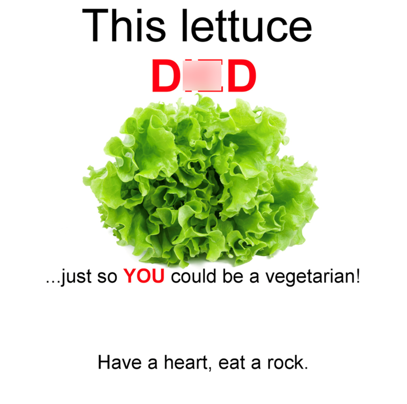 This lettuce DOD ...just so YOU could be a vegetarian! Have a heart, eat a rock.