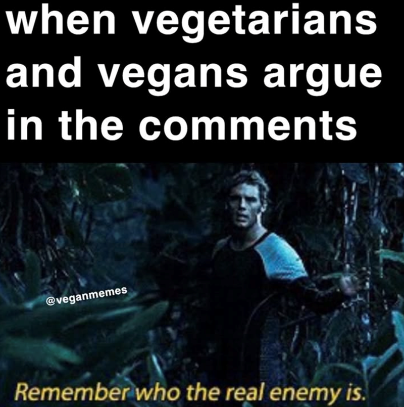 when vegetarians and vegans argue in the comments @veganmemes Remember who the real enemy is.