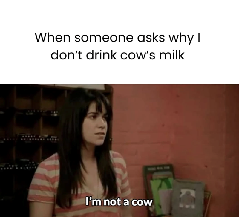 STARE When someone asks why I don't drink cow's milk I'm not a cow