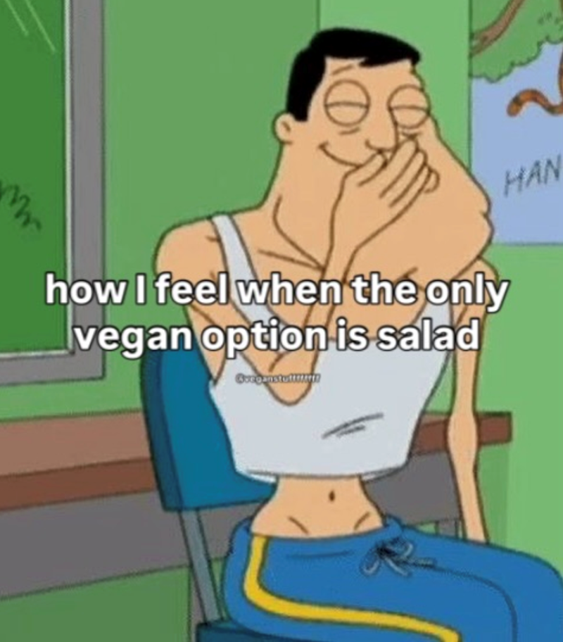 Mr HAN how I feel when the only vegan option is salad