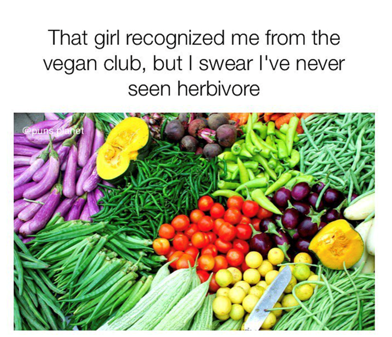 That girl recognized me from the vegan club, but I swear I've never seen herbivore @puns planet