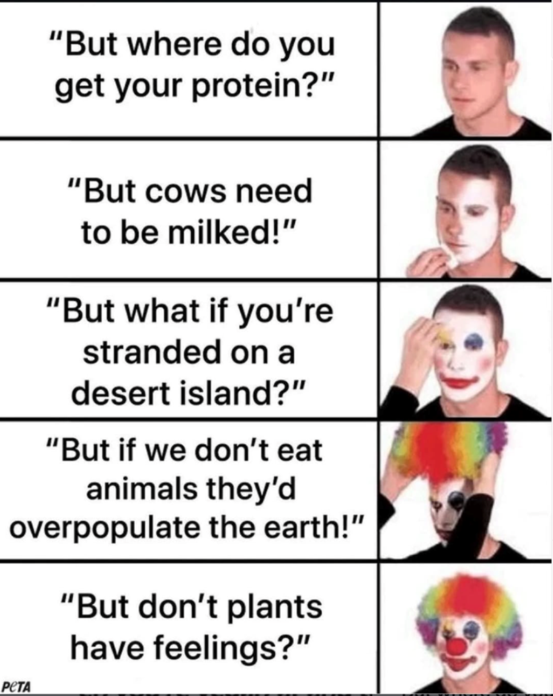 "But where do you get your protein?" "But cows need to be milked!" "But what if you're stranded on a desert island?" "But if we don't eat animals they'd overpopulate the earth!" "But don't plants have feelings?" PeTA