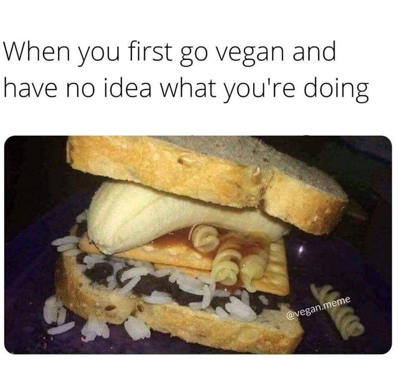 When you first go vegan and have no idea what you're doing @vegan.meme
