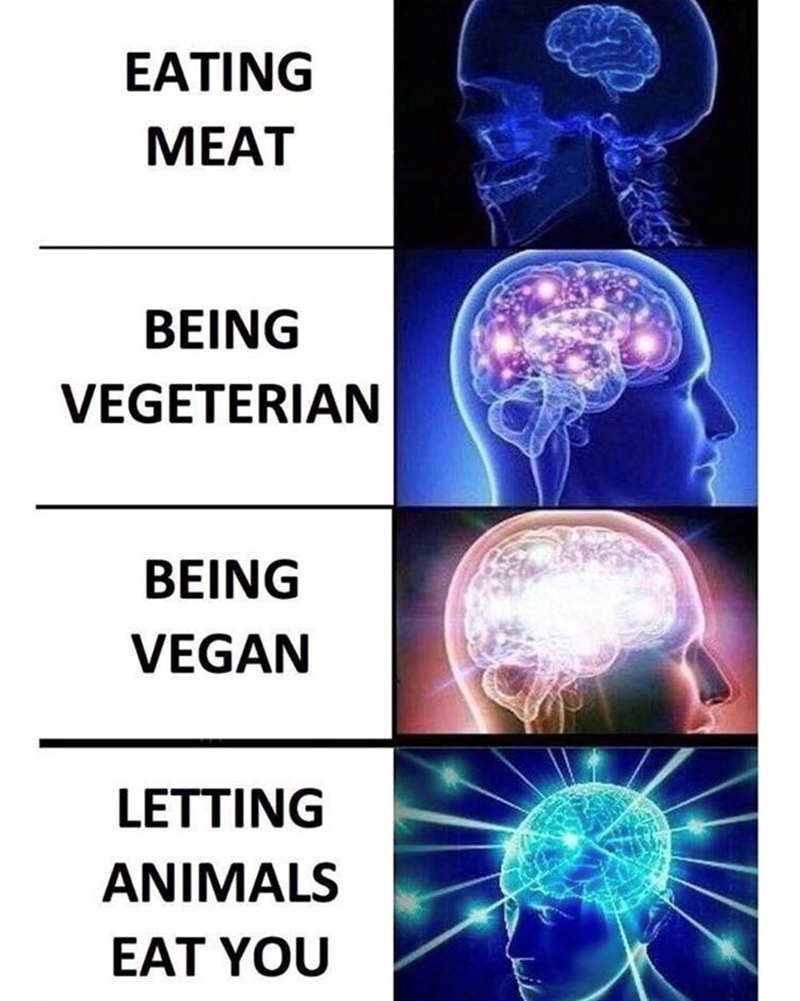 EATING MEAT BEING VEGETERIAN BEING VEGAN LETTING ANIMALS EAT YOU