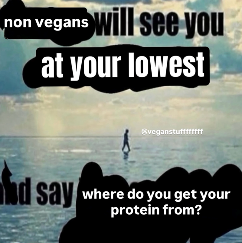 non vegans will see you at your lowest @veganstuffffffff d say where do you get your protein from?