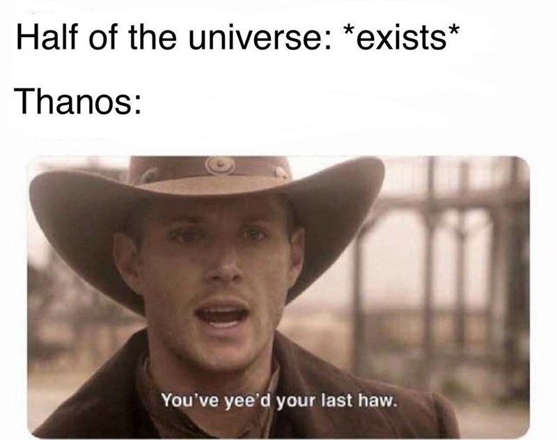 Half of the universe: *exists* Thanos: You've yee'd your last haw.