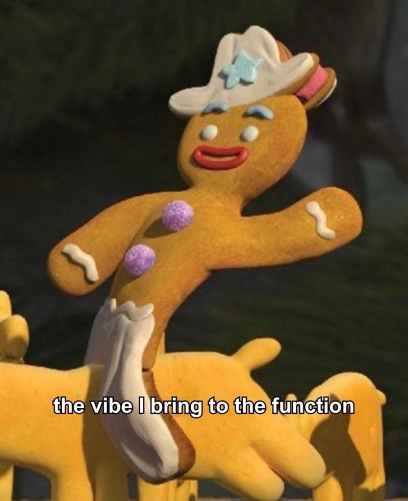 the vibe I bring to the function