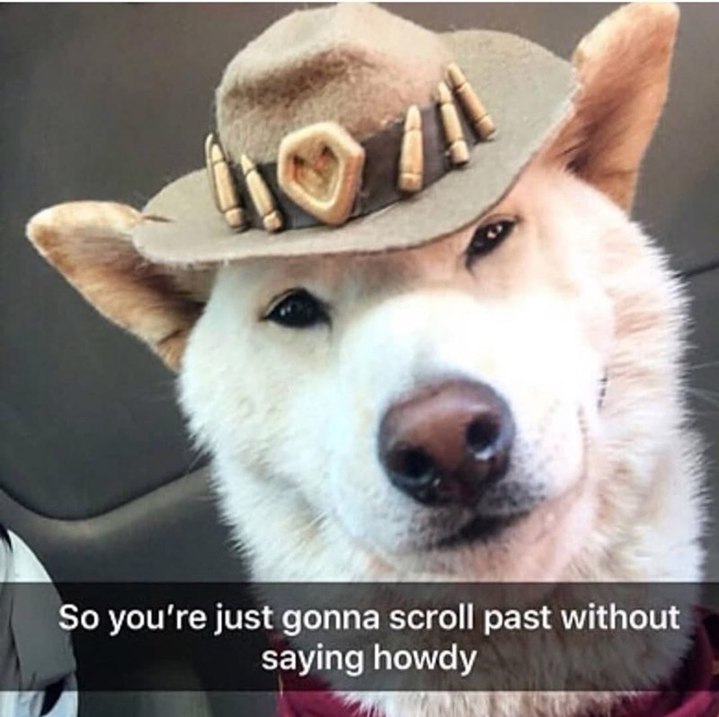 404 So you're just gonna scroll past without saying howdy