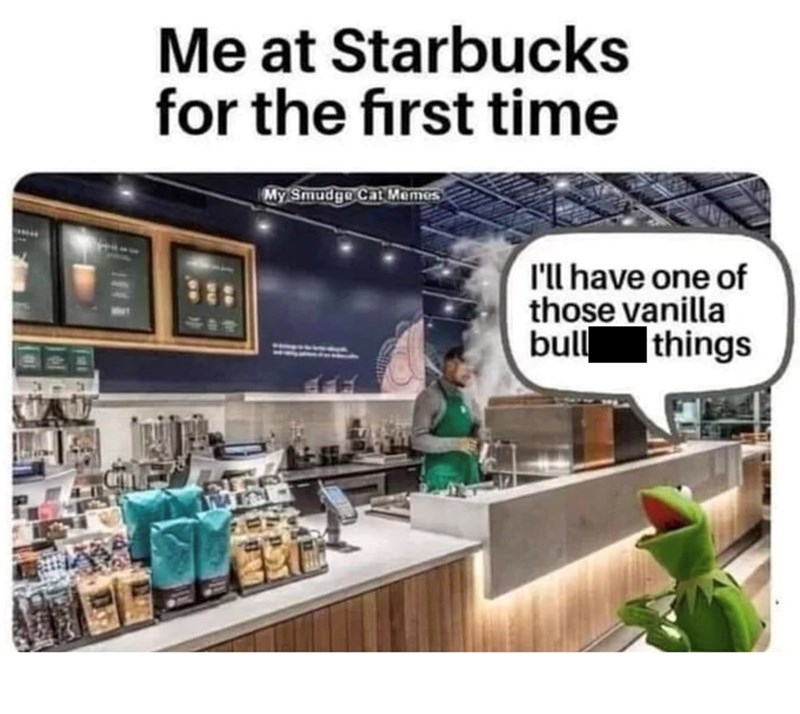 Me at Starbucks for the first time 417 My Smudge Cat Memes I'll have one of those vanilla bull things