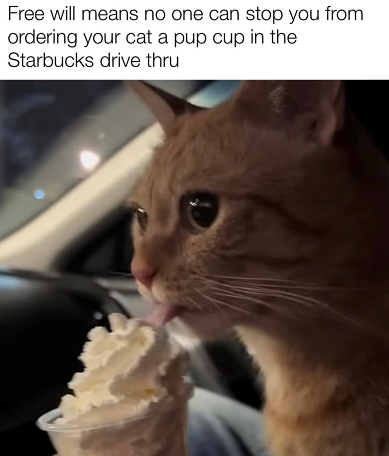 Free will means no one can stop you from ordering your cat a pup cup in the Starbucks drive thru