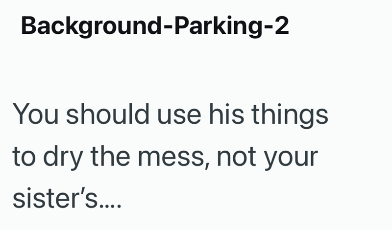 Background-Parking-2 You should use his things to dry the mess, not your sister's....