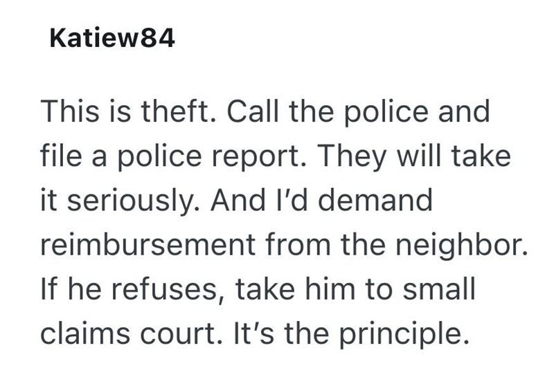 Katiew84 This is theft. Call the police and file a police report. They will take it seriously. And I'd demand reimbursement from the neighbor. If he refuses, take him to small claims court. It's the principle.