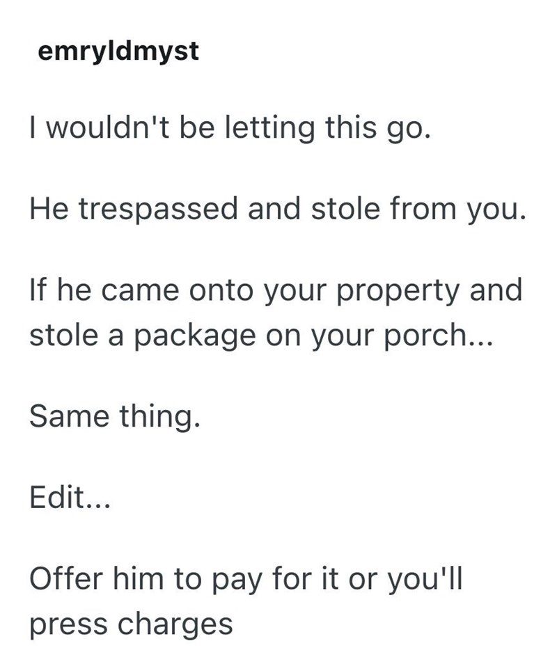 emryldmyst I wouldn't be letting this go. He trespassed and stole from you. If he came onto your property and stole a package on your porch... Same thing. Edit... Offer him to pay for it or you'll press charges