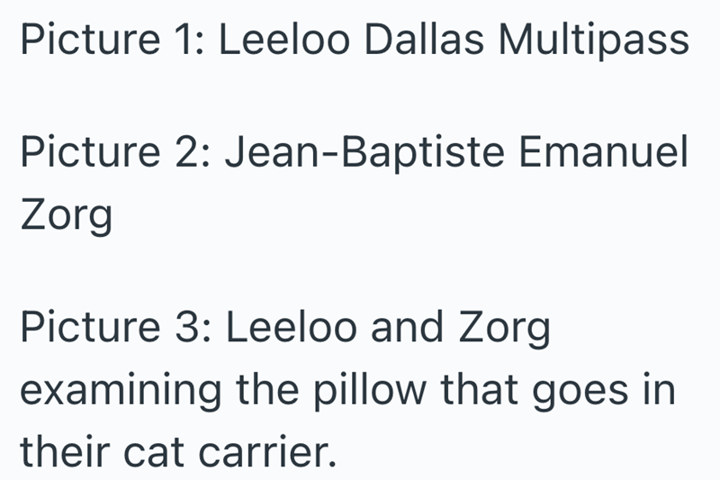 Picture 1: Leeloo Dallas Multipass Picture 2: Jean-Baptiste Emanuel Zorg Picture 3: Leeloo and Zorg examining the pillow that goes in their cat carrier.