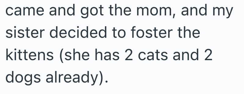 came and got the mom, and my sister decided to foster the kittens (she has 2 cats and 2 dogs already).