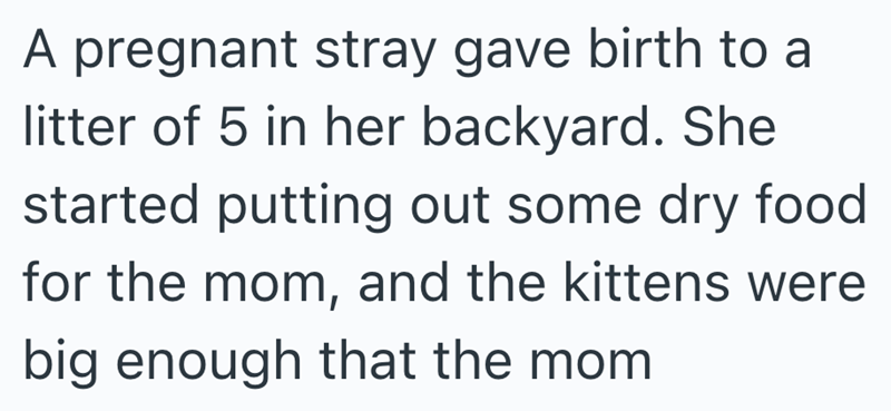 A pregnant stray gave birth to a litter of 5 in her backyard. She started putting out some dry food for the mom, and the kittens were big enough that the mom