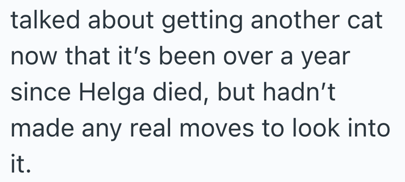 talked about getting another cat now that it's been over a year since Helga died, but hadn't made any real moves to look into it.