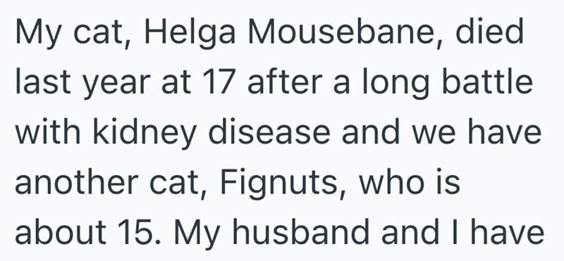 My cat, Helga Mousebane, died last year at 17 after a long battle with kidney disease and we have another cat, Fignuts, who is about 15. My husband and I have