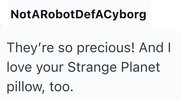 Not A RobotDefACyborg They're so precious! And I love your Strange Planet pillow, too.