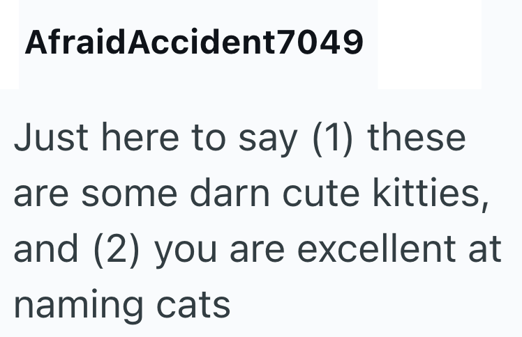 Afraid Accident7049 Just here to say (1) these are some darn cute kitties, and (2) you are excellent at naming cats