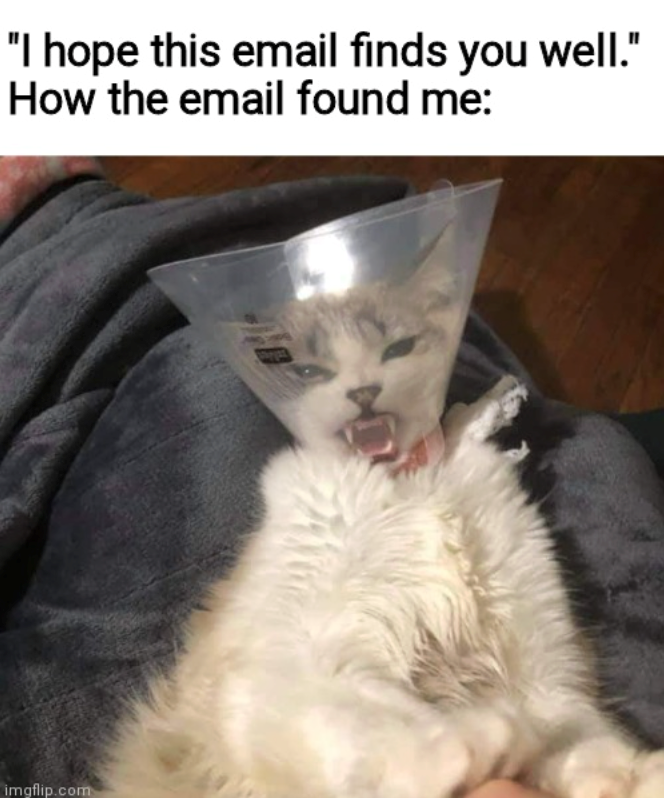 "I hope this email finds you well." How the email found me: imgflip.com
