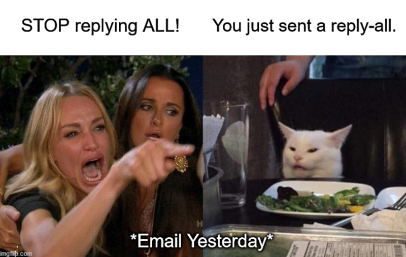 STOP replying ALL! You just sent a reply-all. imgflip.com *Email Yesterday*