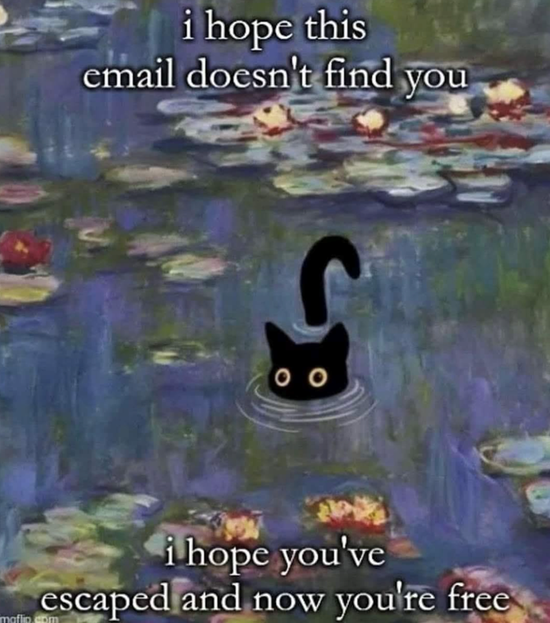 i hope this email doesn't find you 0 0 i hope you've escaped and now you're free