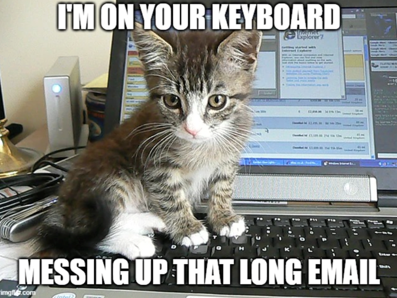 I'M ON YOUR KEYBOARD Intermet Explorer 7 CUMAM MEN MESSING UP THAT LONG EMAIL imgf.com