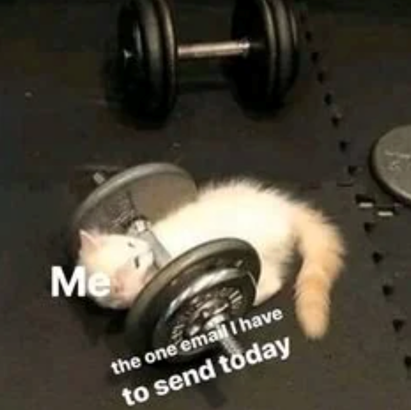 Me the one email I have to send today