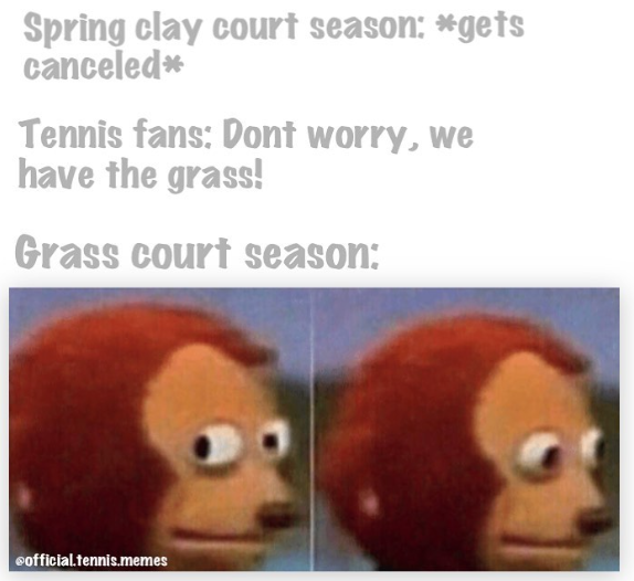 Spring clay court season: *gets canceled* Tennis fans: Dont worry, we have the grass! Grass court season: @official.tennis.memes