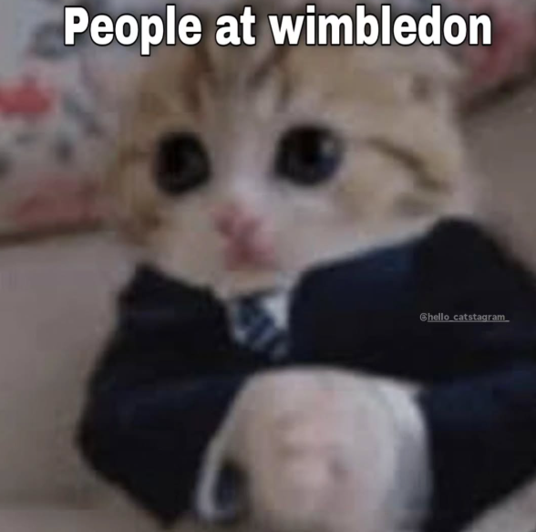 People at wimbledon Chello catstagram