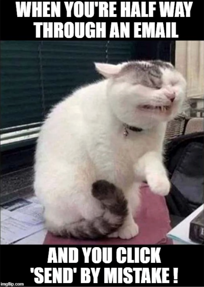 WHEN YOU'RE HALF WAY THROUGH AN EMAIL imgflip.com AND YOU CLICK 'SEND' BY MISTAKE!
