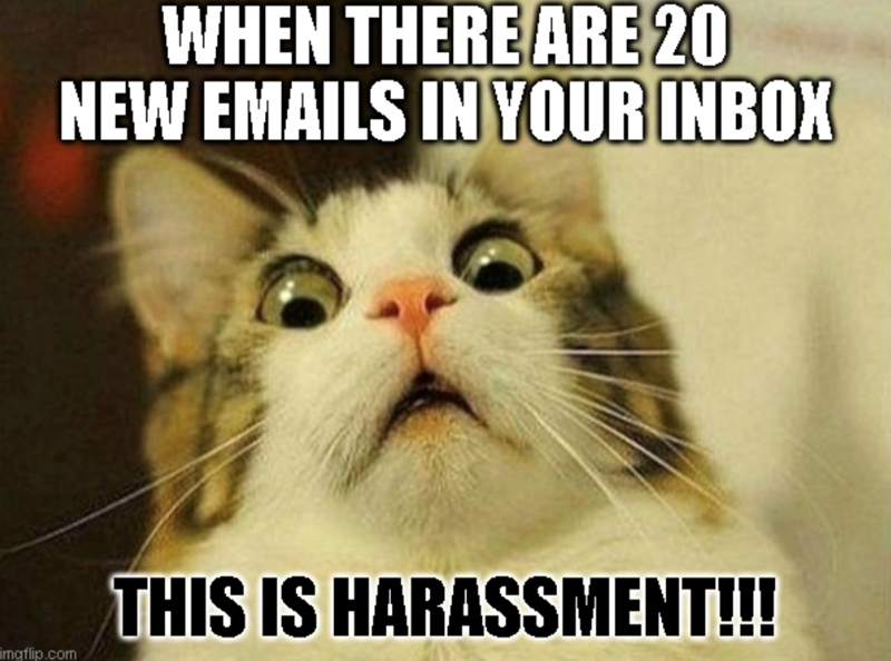 mgflip.com WHEN THERE ARE 20 NEW EMAILS IN YOUR INBOX THIS IS HARASSMENT!!!
