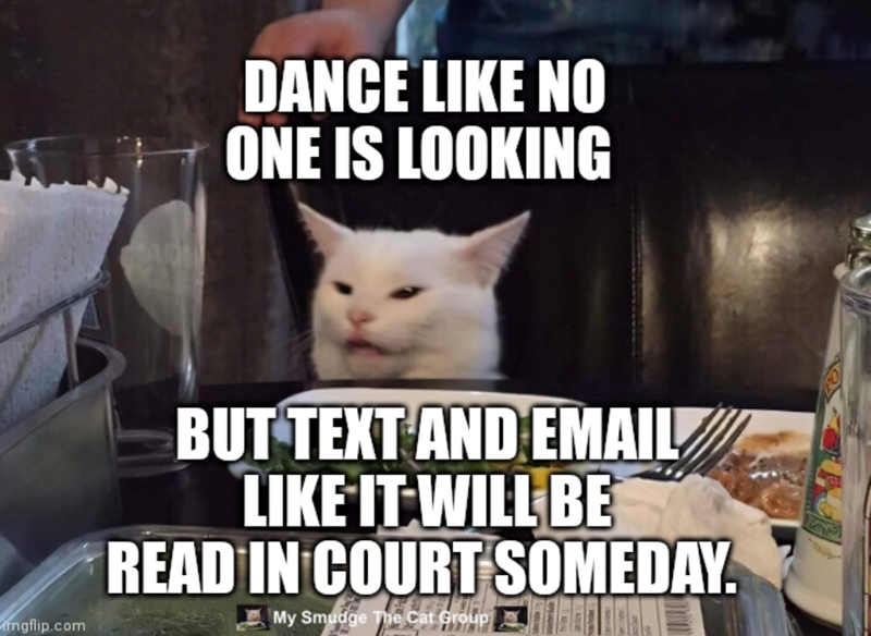 DANCE LIKE NO ONE IS LOOKING mgflip.com BUT TEXT AND EMAIL LIKE IT WILL BE READ IN COURT SOMEDAY. My Smudge The Cat Group TO