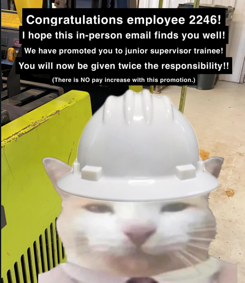 Congratulations employee 2246! I hope this in-person email finds you well! We have promoted you to junior supervisor trainee! You will now be given twice the responsibility!! (There is NO pay increase with this promotion.)