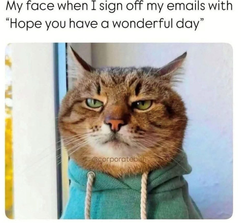 My face when I sign off my emails with "Hope you have a wonderful day" @corporatebish
