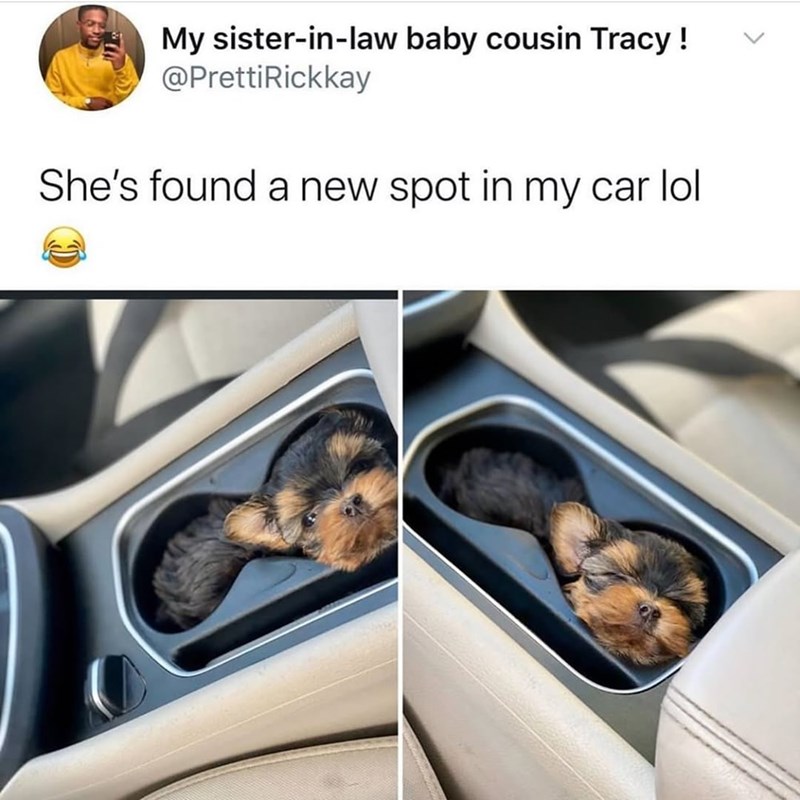 My sister-in-law baby cousin Tracy! @PrettiRickkay She's found a new spot in my car lol