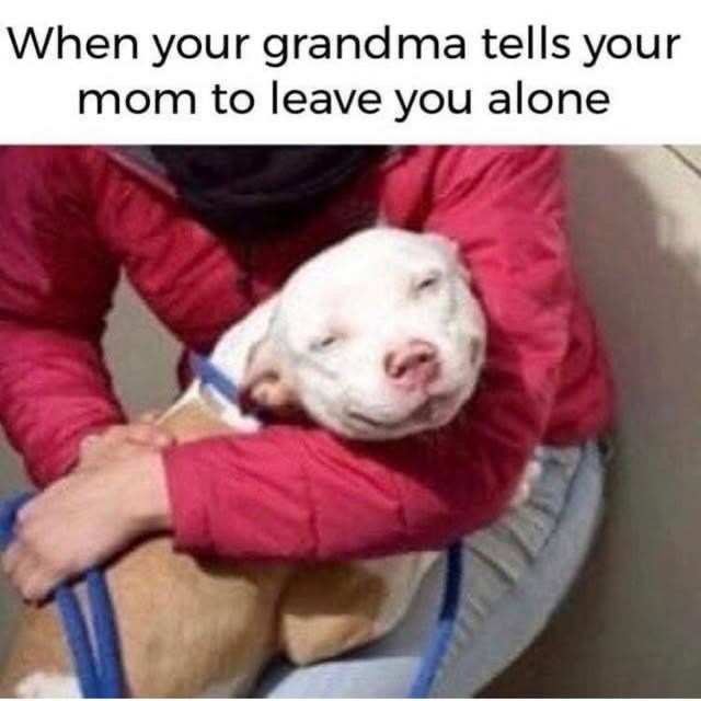 When your grandma tells your mom to leave you alone