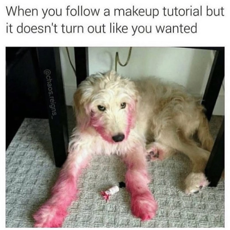 When you follow a makeup tutorial but it doesn't turn out like you wanted @chaos.reigns