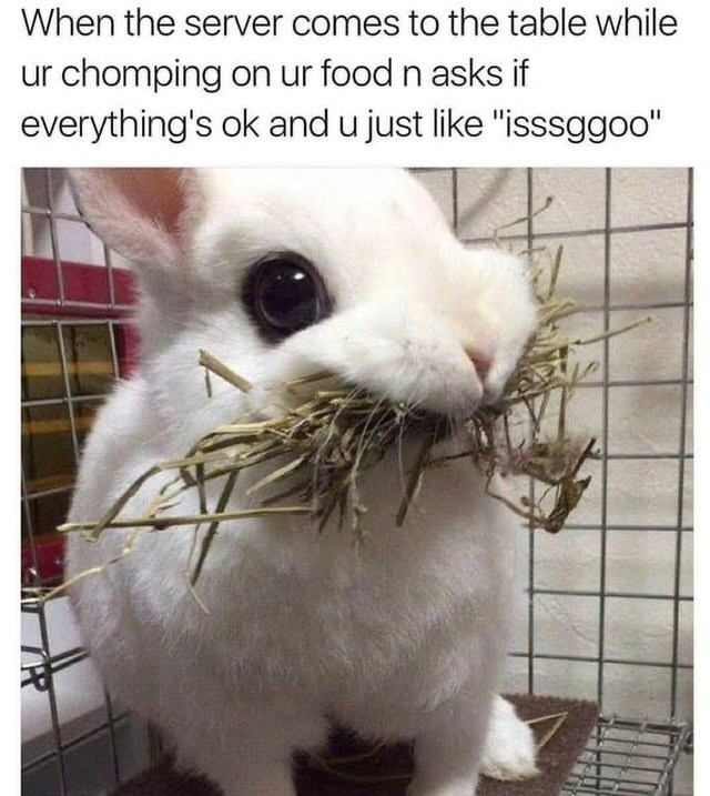 When the server comes to the table while ur chomping on ur food n asks if everything's ok and u just like "isssggoo"