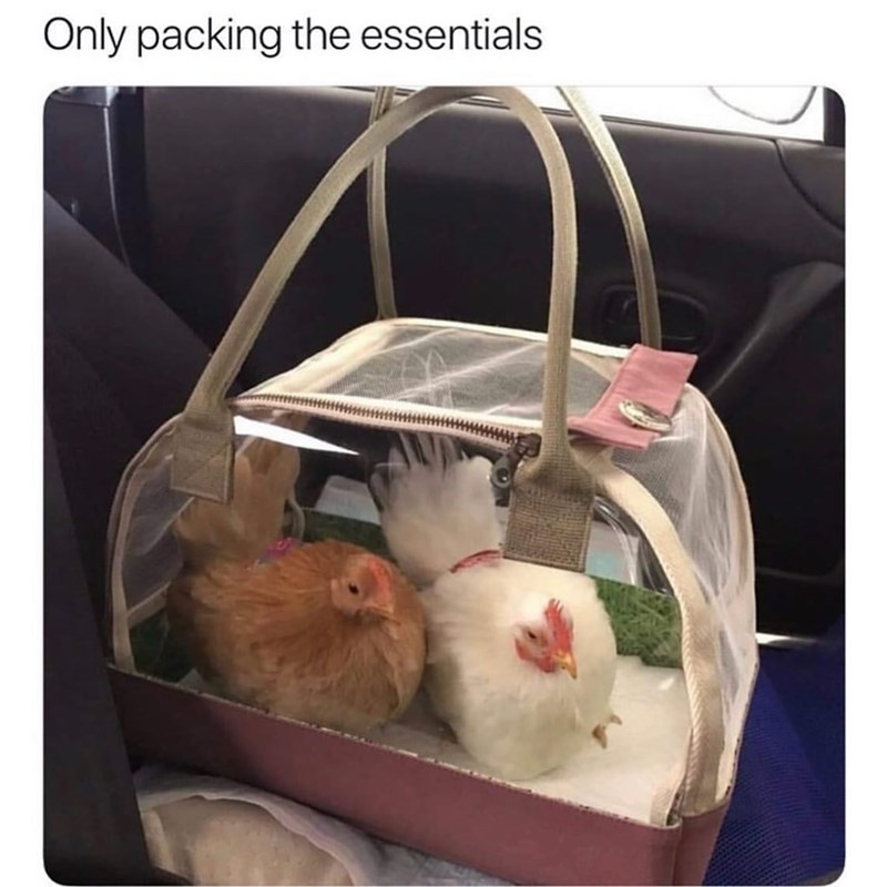 Only packing the essentials