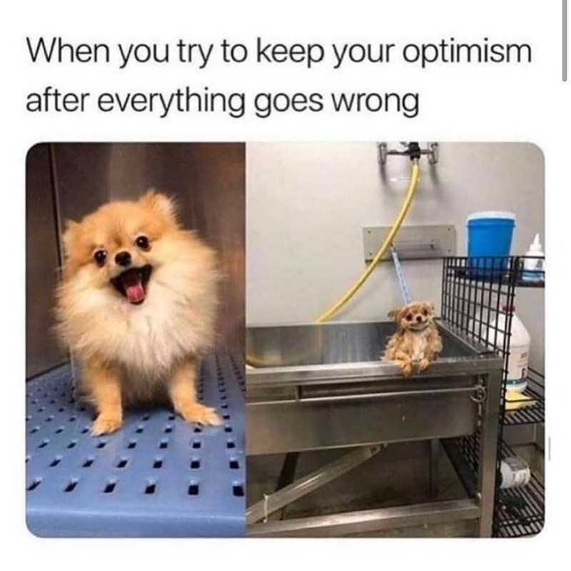 When you try to keep your optimism after everything goes wrong