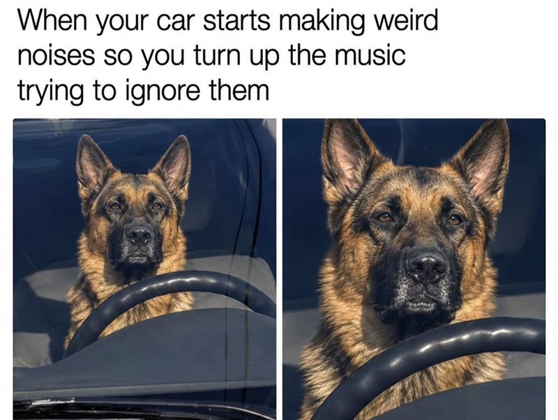 When your car starts making weird noises so you turn up the music trying to ignore them