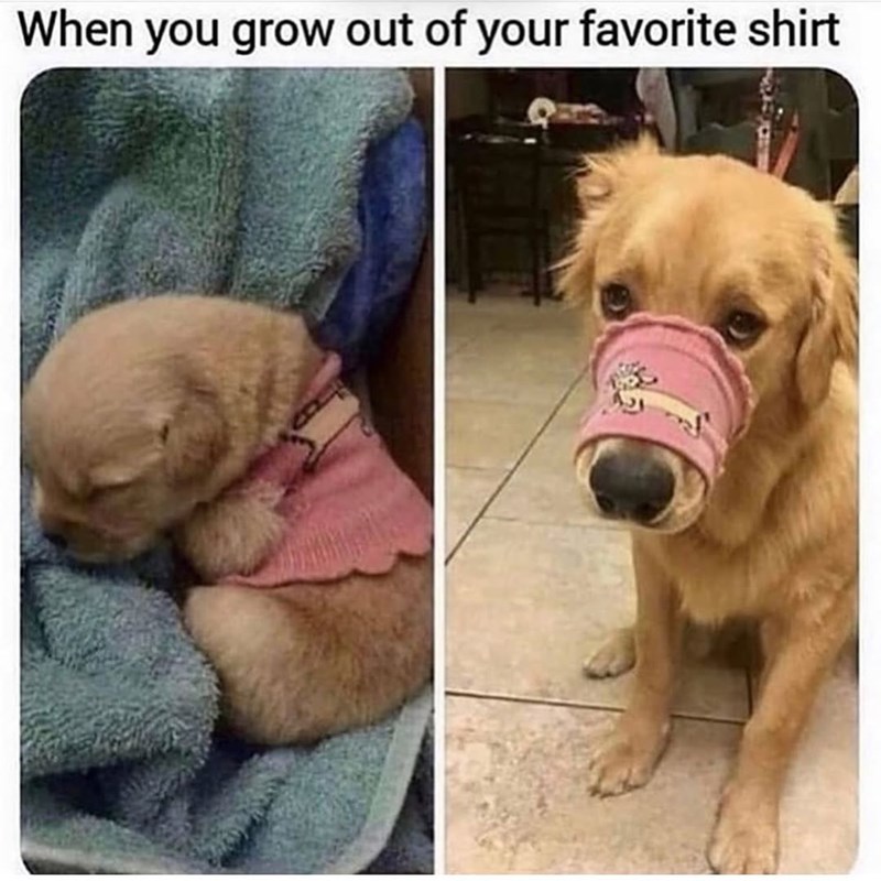 When you grow out of your favorite shirt