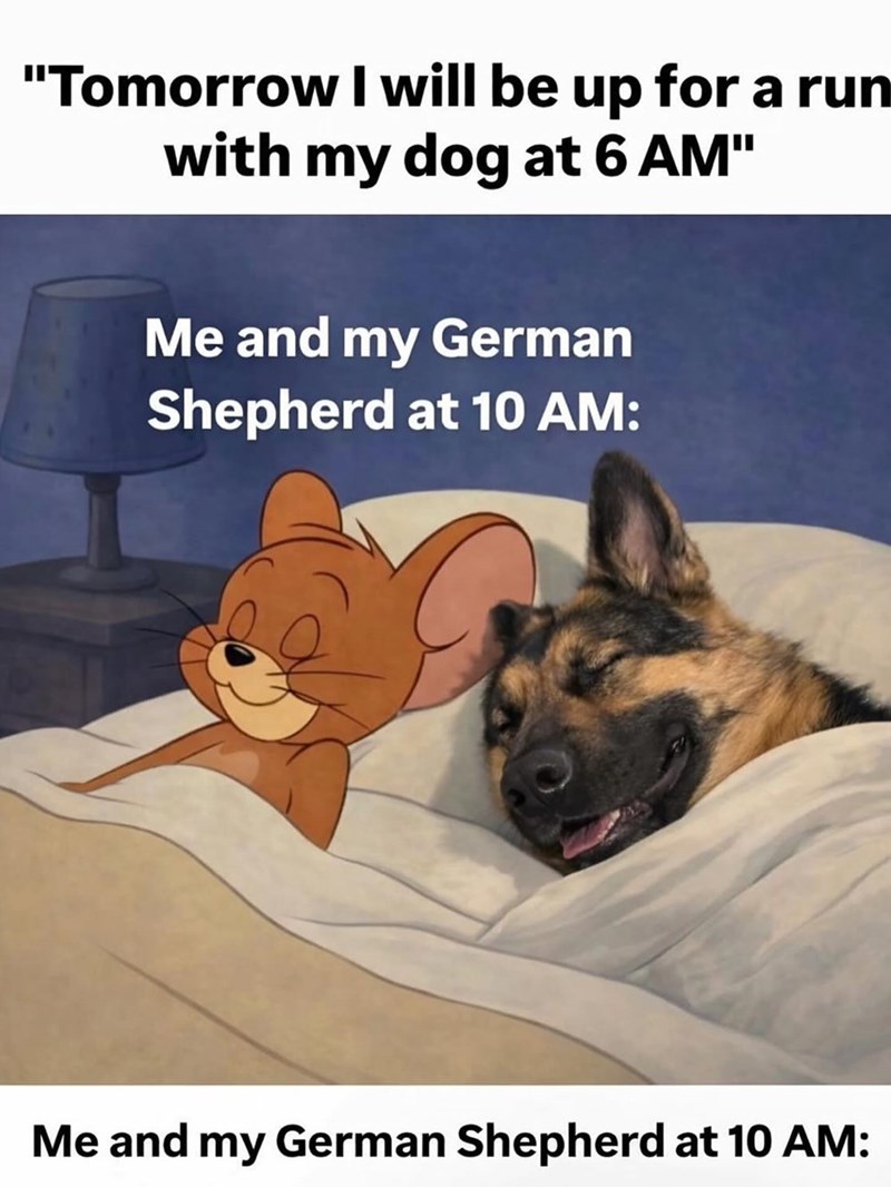"Tomorrow I will be up for a run with my dog at 6 AM" Me and my German Shepherd at 10 AM: Me and my German Shepherd at 10 AM: